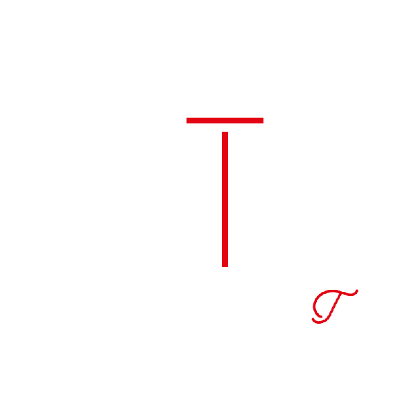 logo OTZI